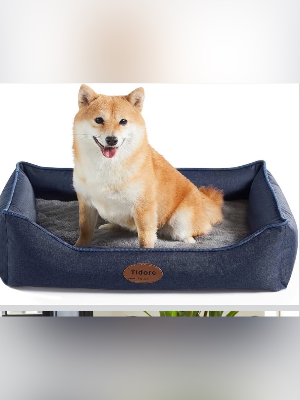 Tidore Waterproof Machine Washable Dog Sofa Bed, Foam, Removable Cover, M